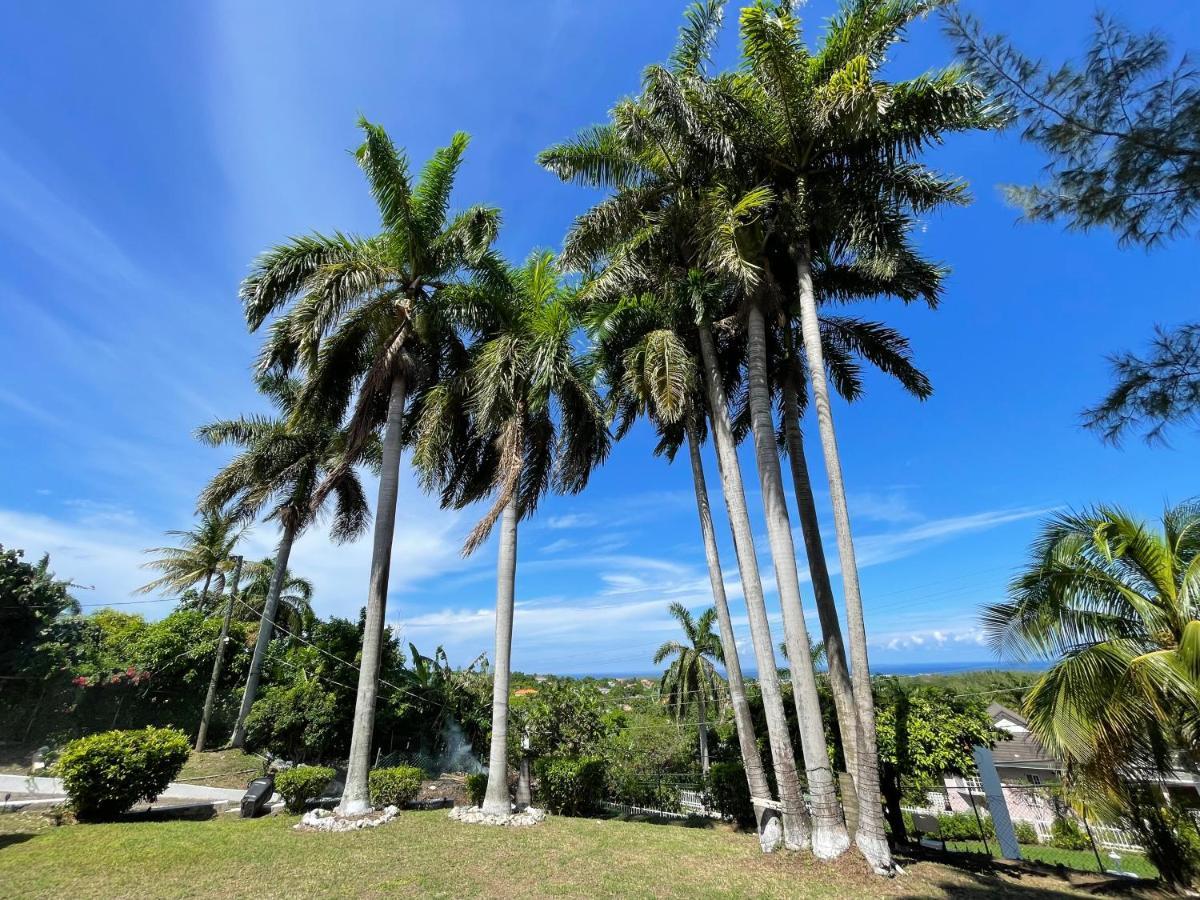 The Lodge @ Peaceful Palms มอนเทโกเบย์ ภายนอก รูปภาพ